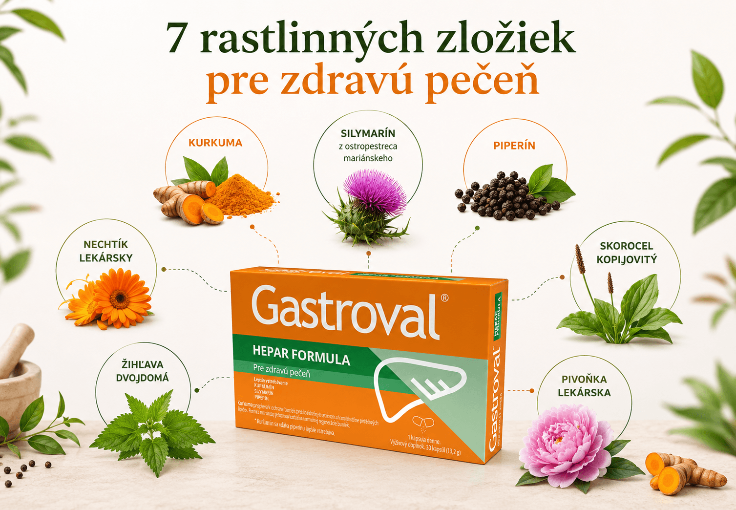 byliny na pecen gastroval hepar